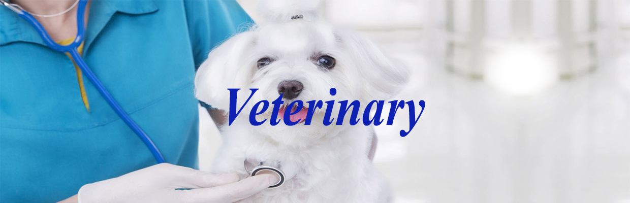 Veterinary